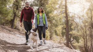 Two people and dog walking in Big Bear Lake.